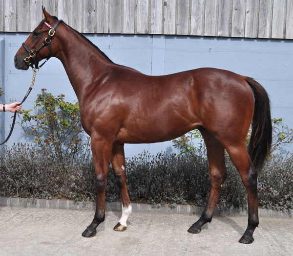 lot103 photo